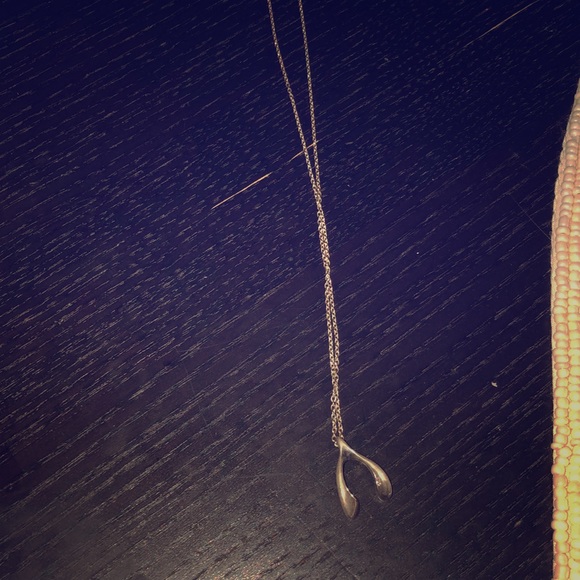 Wishbone necklace - Picture 1 of 2